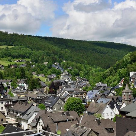 Beautiful Apartment In Willingen With Balcony 外观 照片